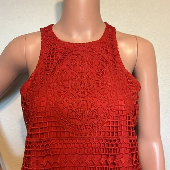 Lovers and Friends Caspian Red Lace Shift Dress - Picture 3 of 11